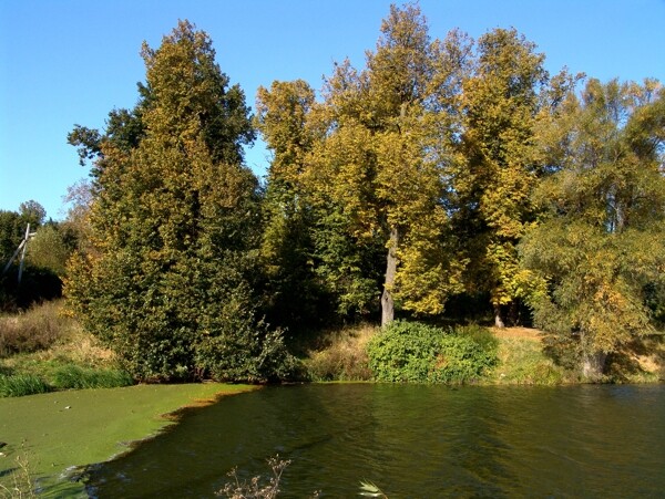 宁静的秋天湖水风景图片