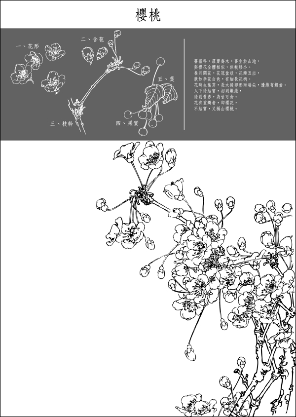 图中国传统工笔画笔法细腻注重细节3