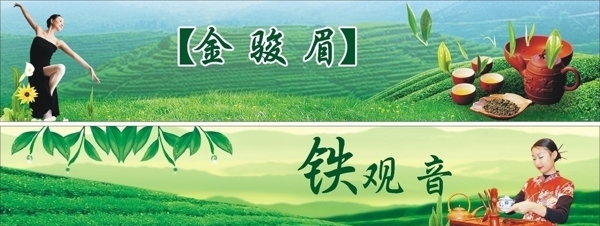 茶园图片