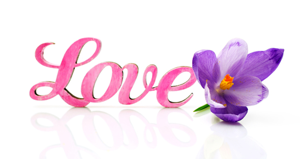 英文字母紫色花朵图片