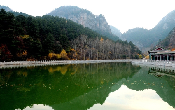 龙泉国家森林公园图片
