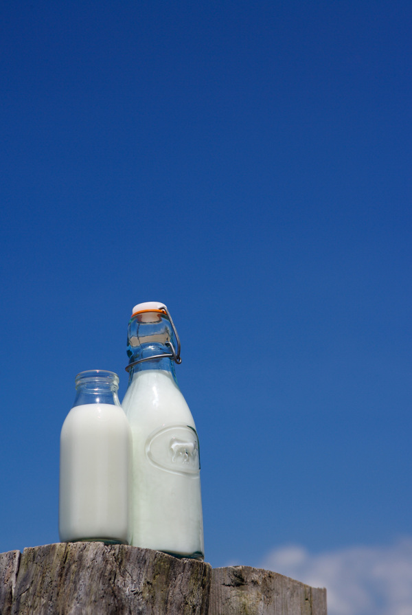 蓝天树木木头樟木奶瓶牛奶