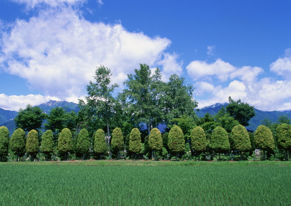 田园风光