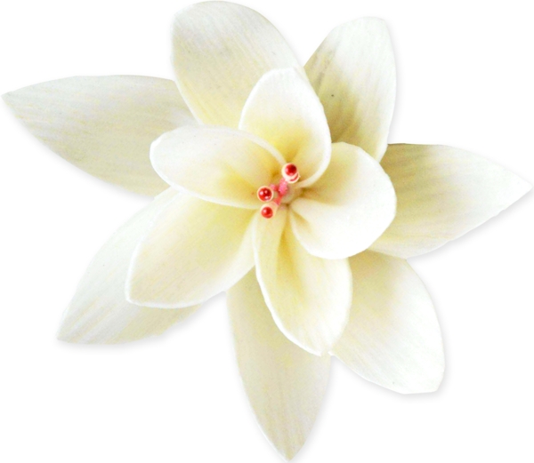 白色艺术花朵PSD格式