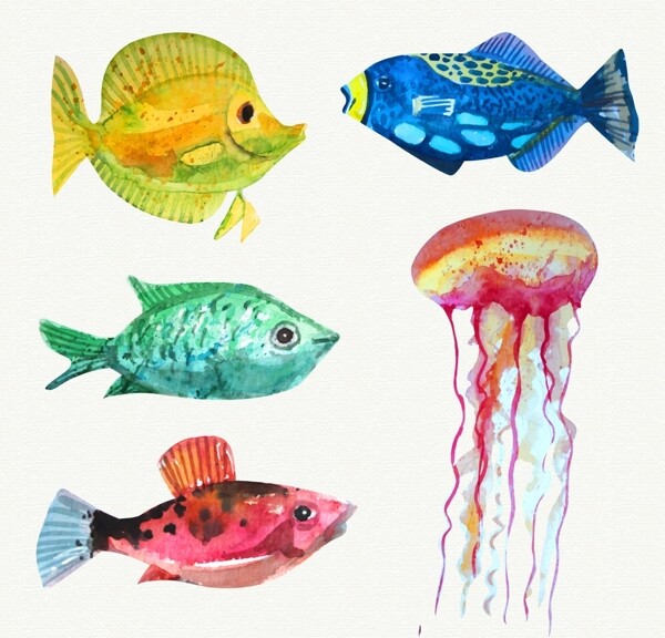 水彩画鱼和水母