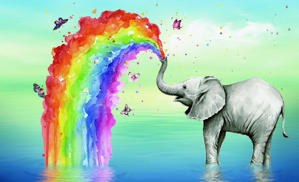 大象水中喷绘彩虹蝴蝶装饰背景图图片