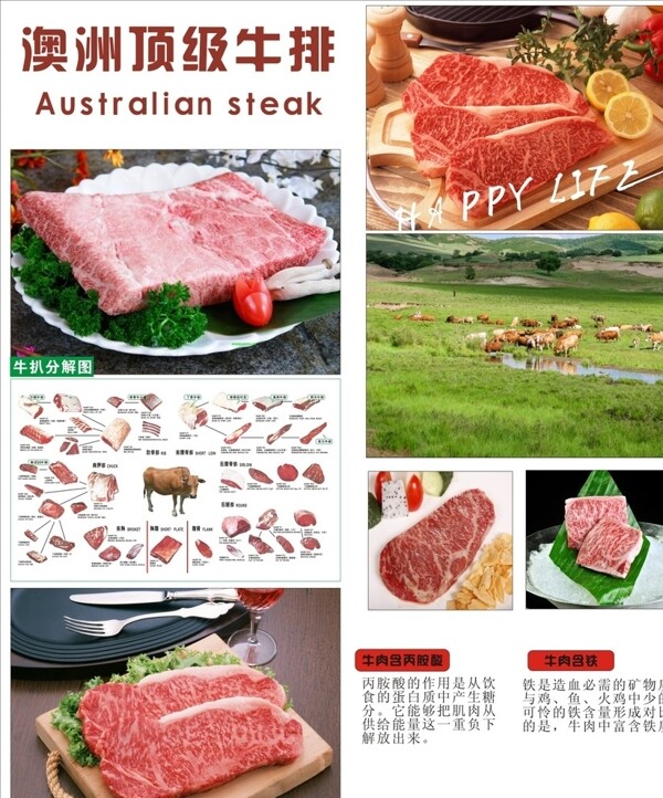 澳洲顶级牛排海报图片