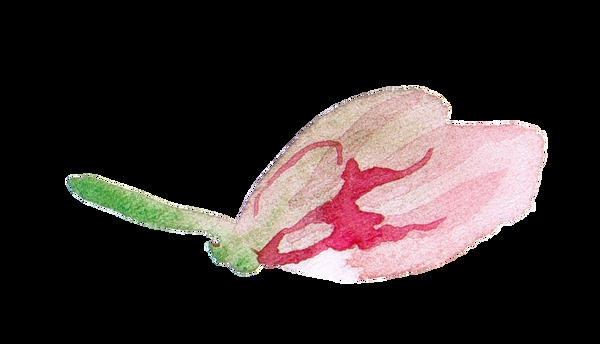水墨精致花卉卡通透明装饰素材