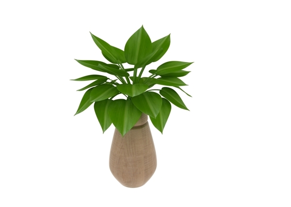 植物盆栽3d模型图片