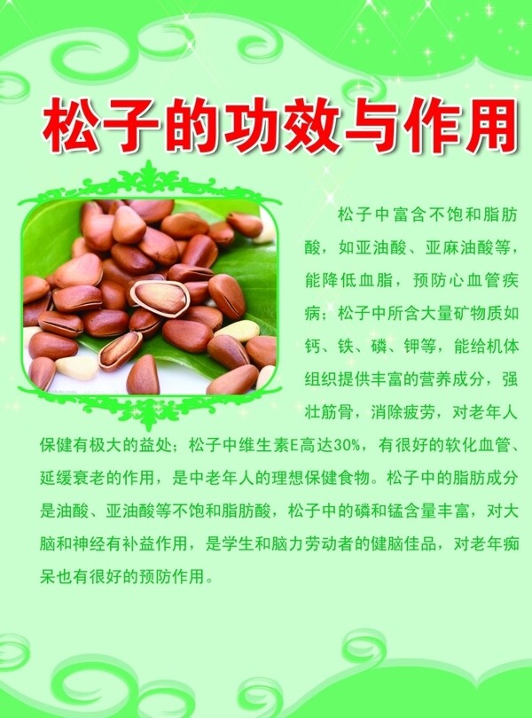 松子的功效与作用图片