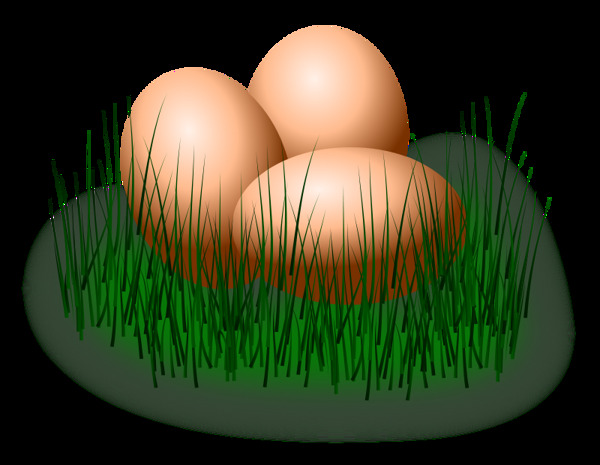 鸡蛋在草