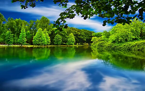 河流树林风景图片图片