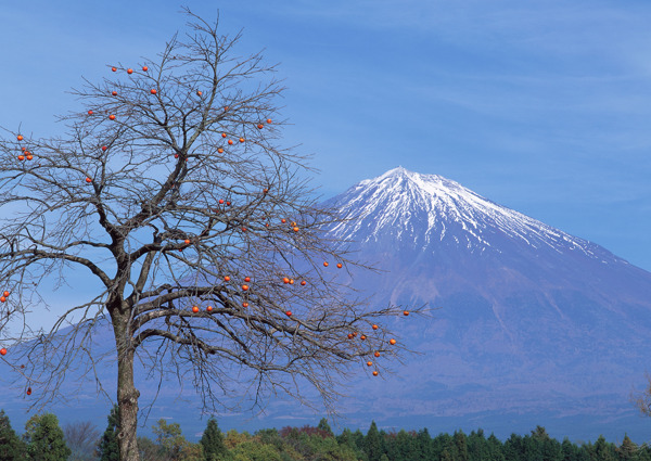 富士山