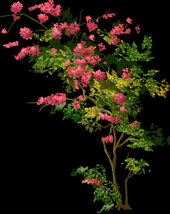 小树花朵元素