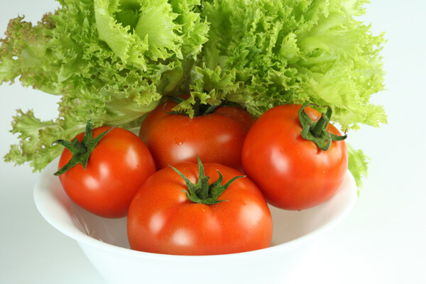 西红柿生菜图片