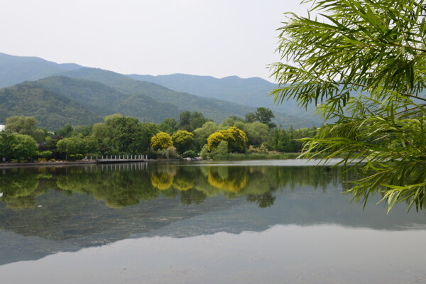 植物园风景