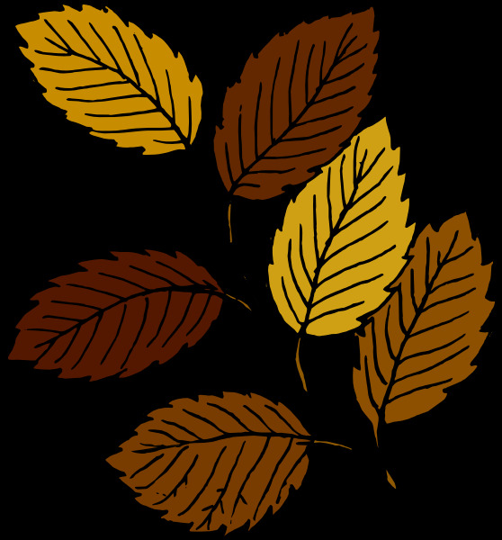 秋天的树叶树枝剪贴画