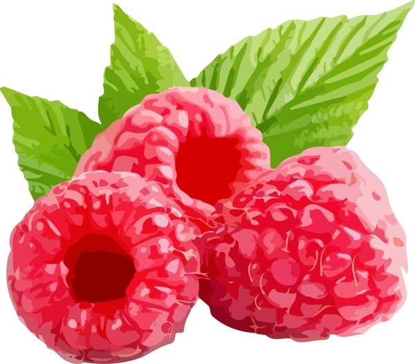 插画手绘红色树莓水果素材水果元素