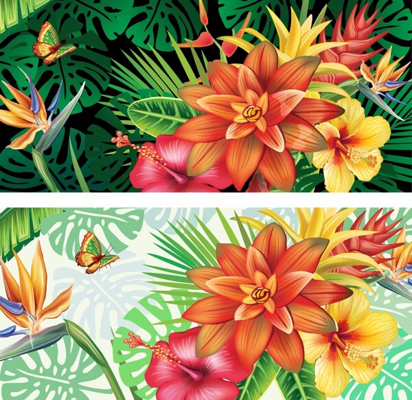热带植物花横幅