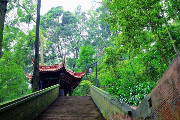 四川普照寺风景