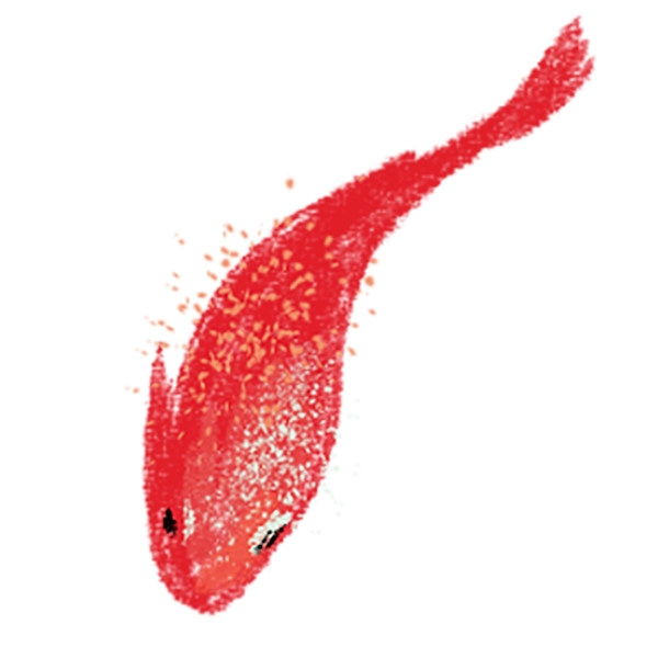 红色吉祥鲤鱼元素