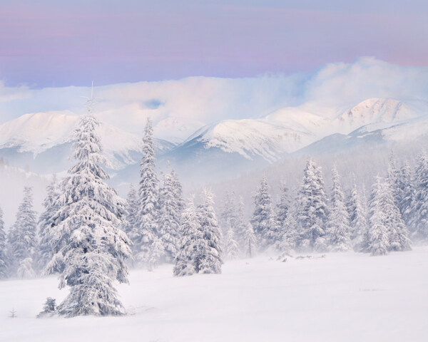 美丽雪山树木风景图片