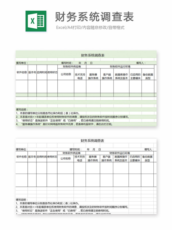 财务系统调查表excel模板