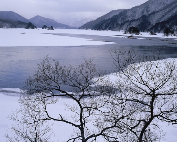 冬天雪景雪景大雪