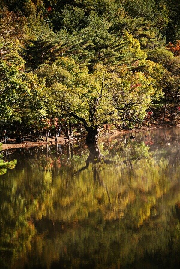 湖面倒影风景