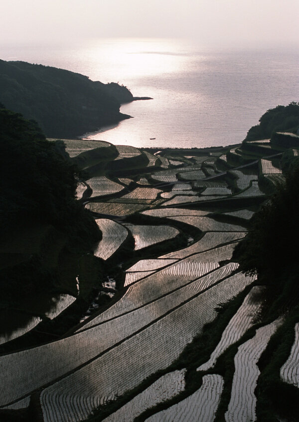 夕阳下的梯田