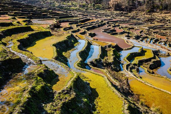 云南元阳箐口梯田风景