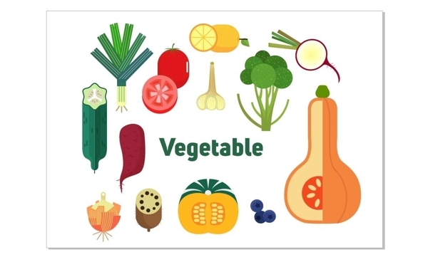 蔬菜矢量插画