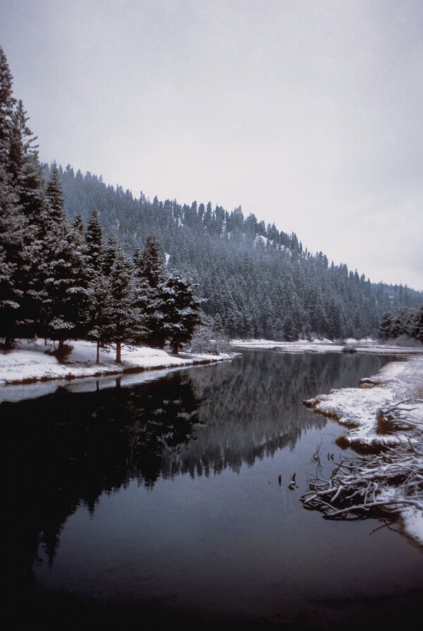 冬天自然景象图片