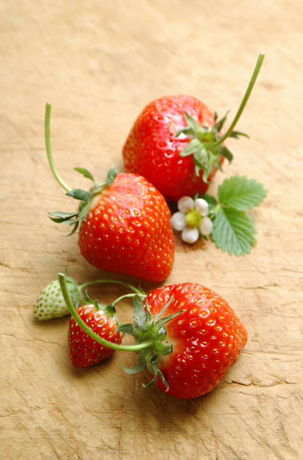 草莓048