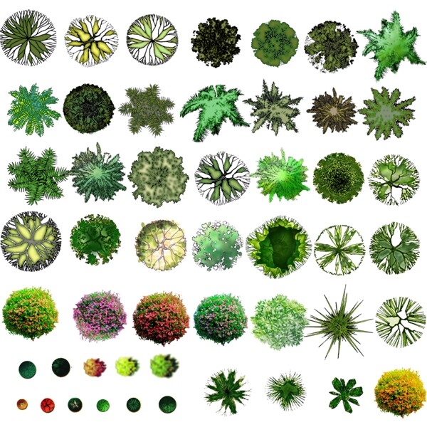 平面植物素材合集图片