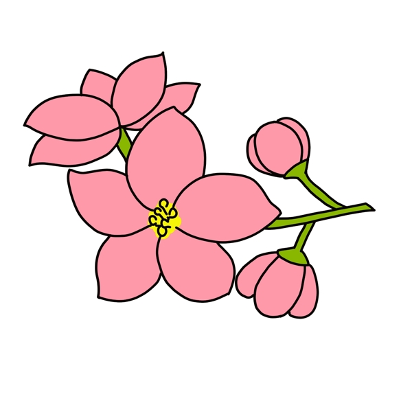 精美粉色樱花