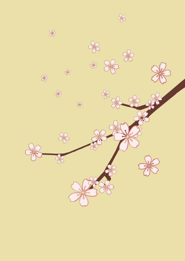 樱花插图图片