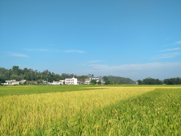 陆川县风光