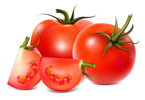 西红柿矢量图图片