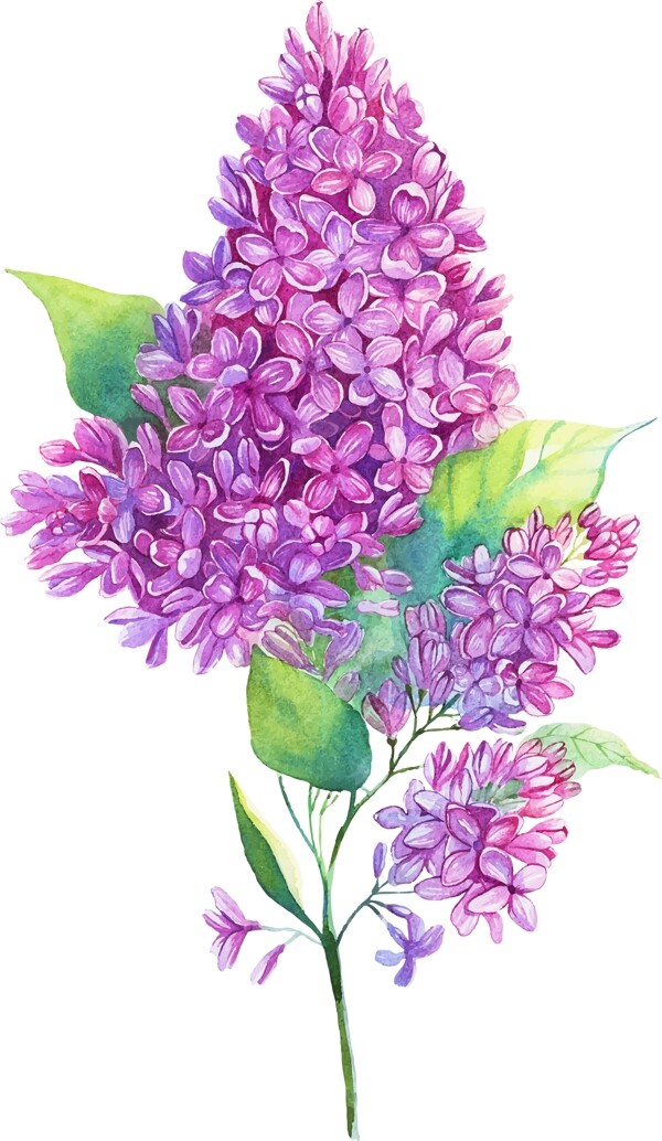 茂盛紫花瓣矢量素材