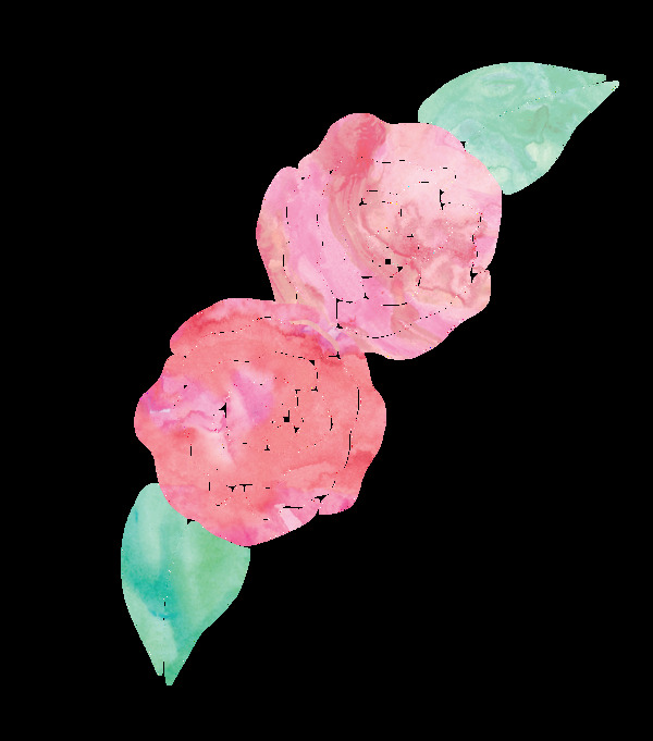 二朵粉色花卉卡通水彩透明素材