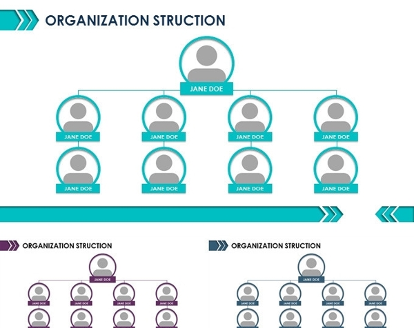 组织架构图商业图表