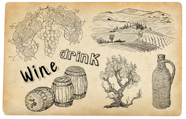 酒桶葡萄树木葡萄园线稿图案图片