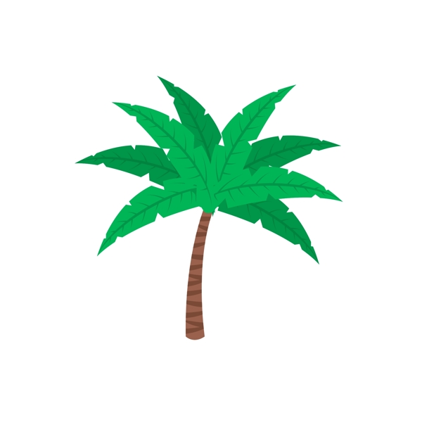 热带植物夏季棕榈树夏季