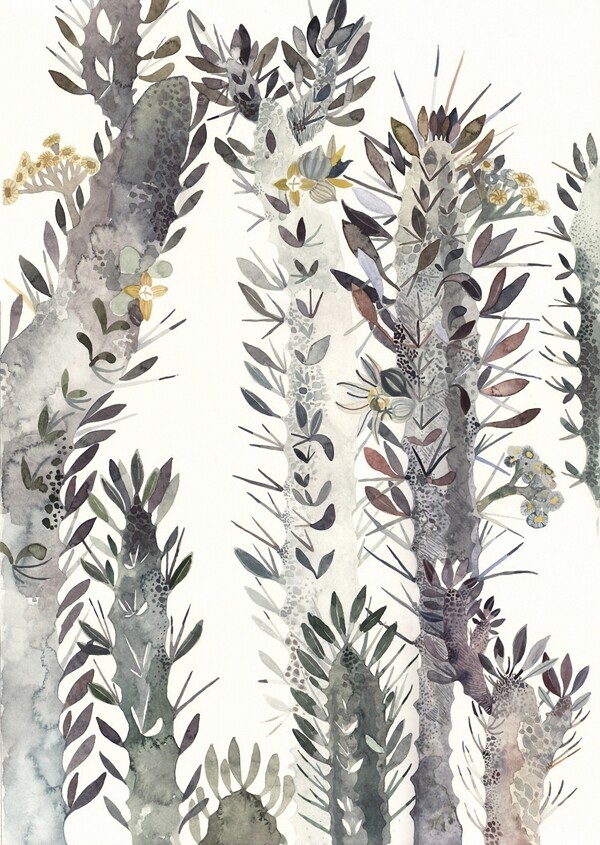 北欧风格植物仙人掌水彩画