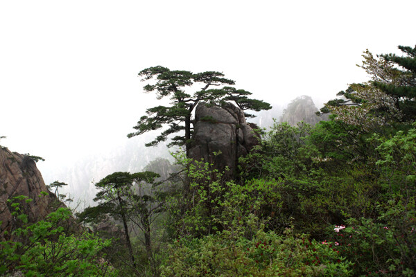 旅游景区风景