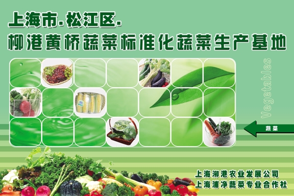 蔬菜推广海报图片