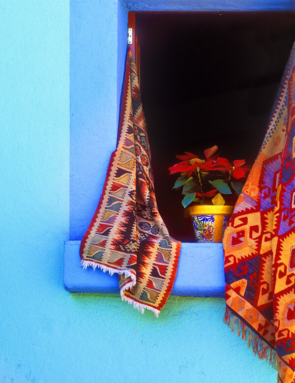 蓝色窗台上的盆栽图片