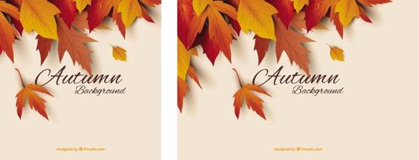 秋天的背景与现实的叶子