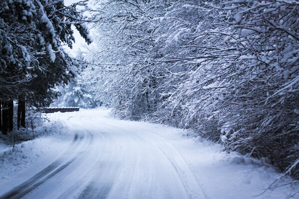 树林冬天雪景图片